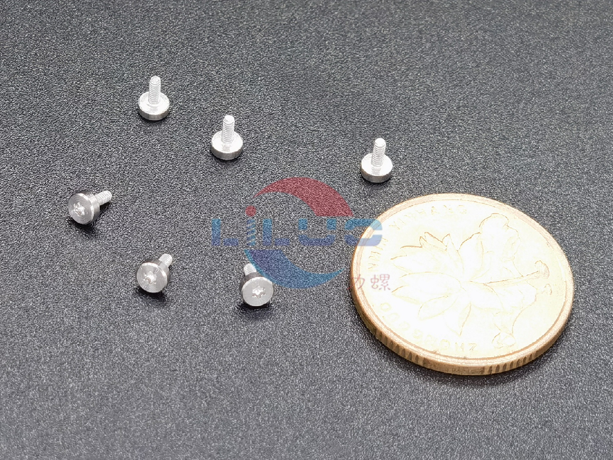 CD紋不鏽鋼螺（luó）絲M1x3