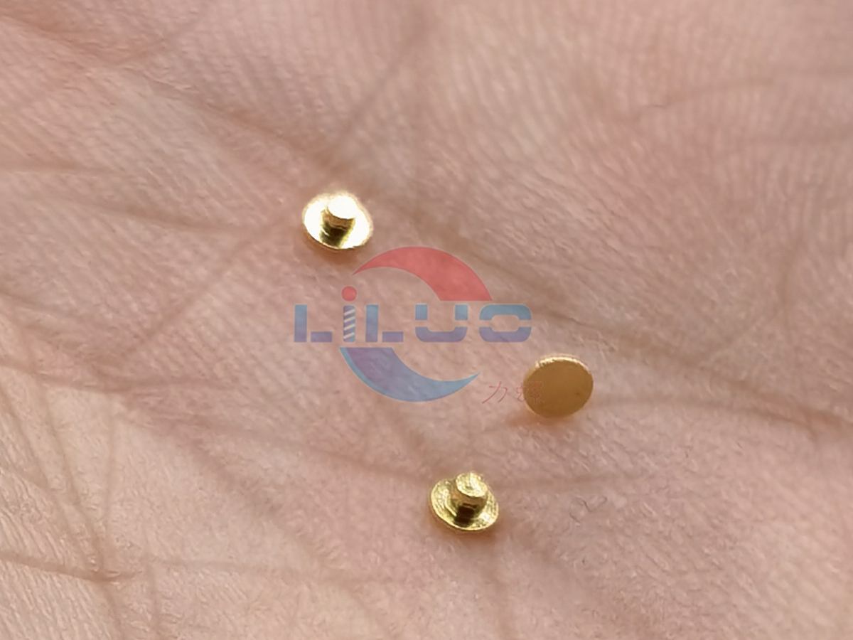 精密（mì）镀金铆钉1x0.97SUS316.jpg