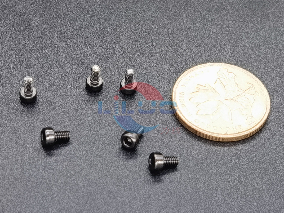 內六角螺絲定（dìng）製M2x4